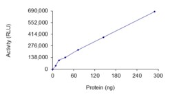 Sino Biological&nbsp;Recombinant Human KRAS Protein (Mature form, His Tag), Active